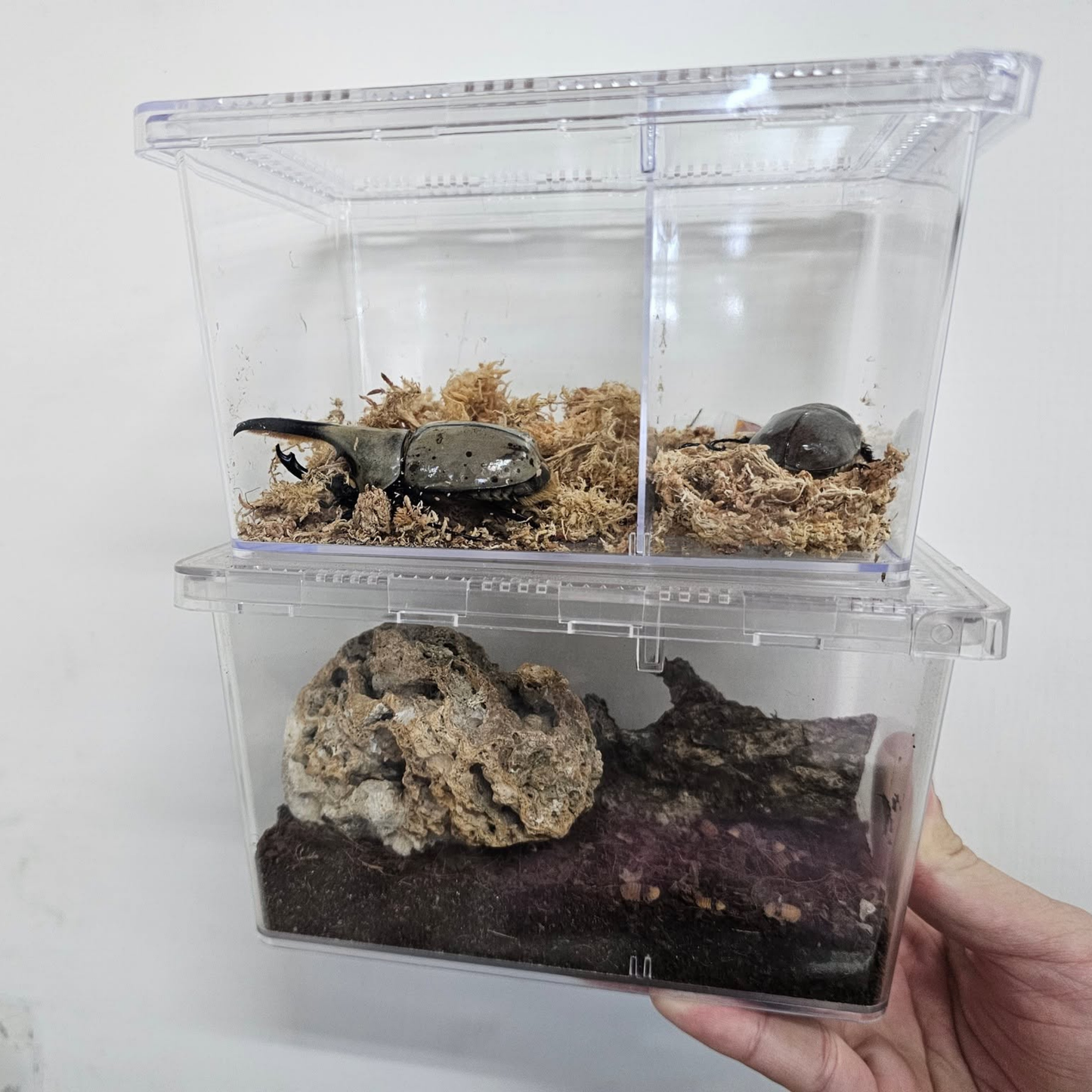 Premium Sliding Lid Enclosure